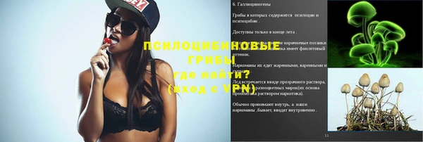 круглые Краснослободск