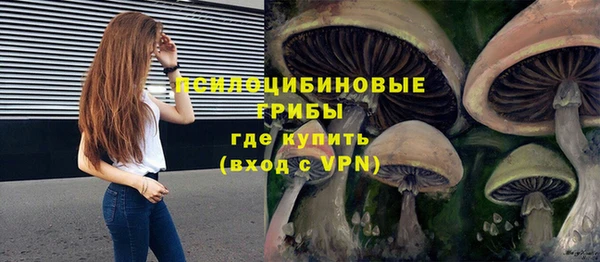 круглые Краснослободск