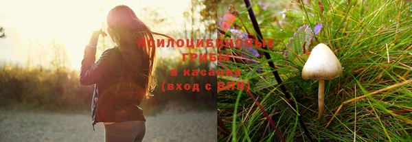 круглые Краснослободск