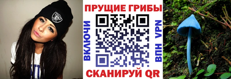 как найти закладки  мега зеркало  Псилоцибиновые грибы мухоморы  Чулым 